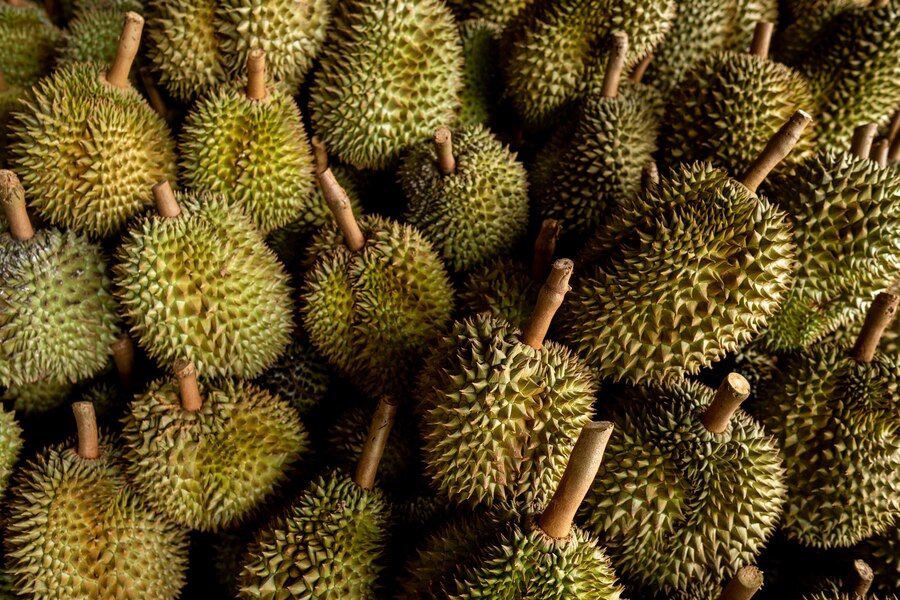 Apakah Makan Durian Saat Menyusui Mempengaruhi Produksi ASI ? - Globumil